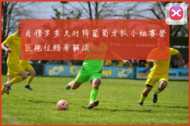 肖穆罗多夫对阵葡萄牙队小组赛禁区跑位赔率解读