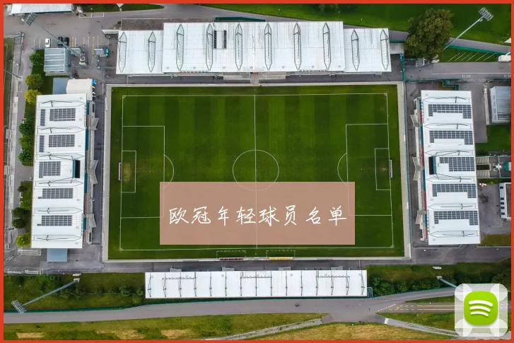欧冠年轻球员名单