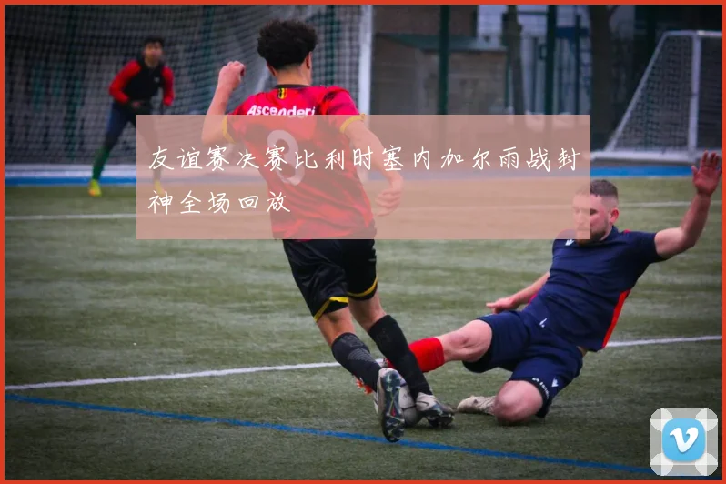 友谊赛决赛比利时塞内加尔雨战封神全场回放