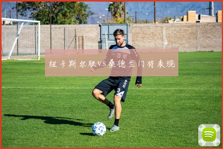 纽卡斯尔联vs桑德兰门将表现